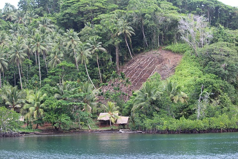 Florida Islands, Central Province 