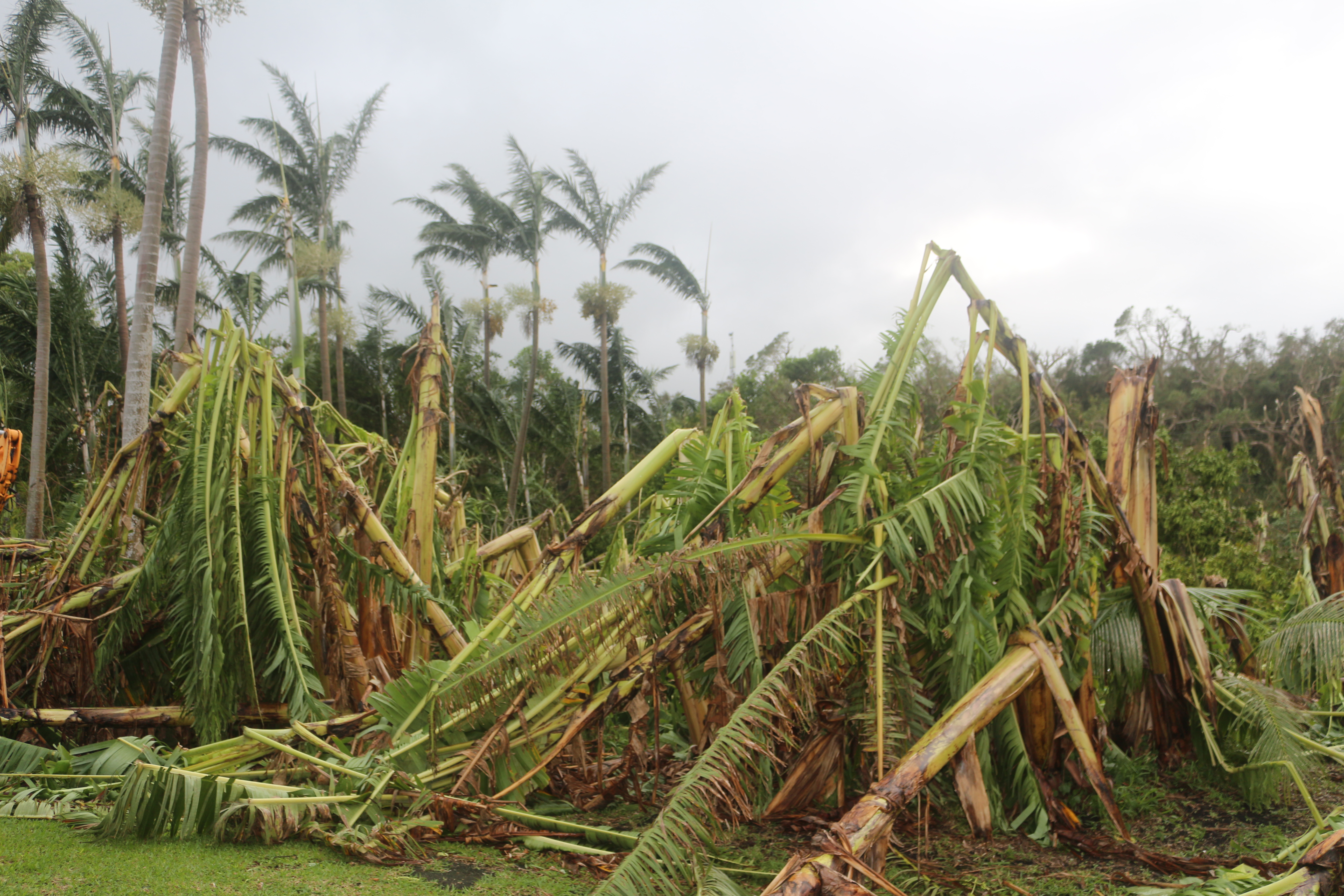VanKIRAP Cyclone Season ends