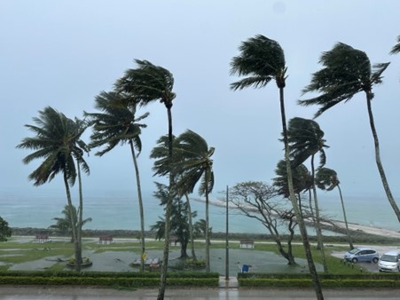 Cyclone conditions in the Pacific