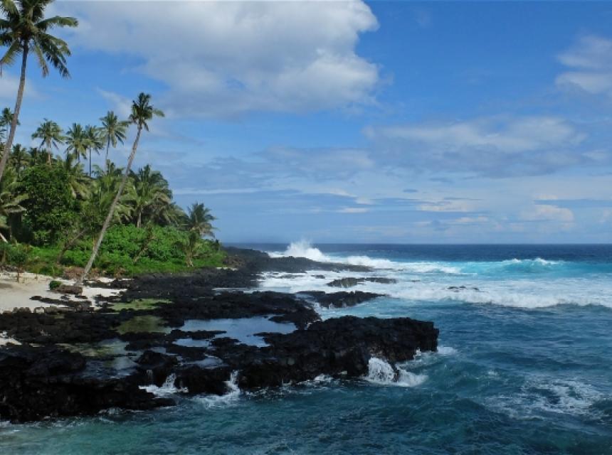 Return to Paradise